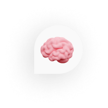 Brain